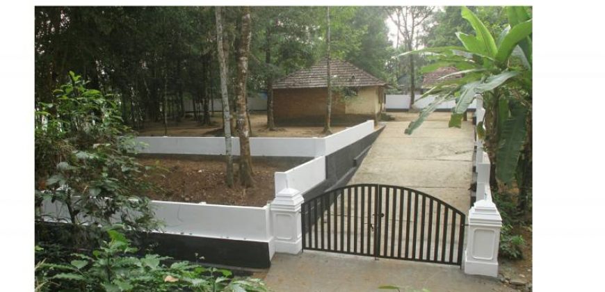 Enchanting River front land for sale at Malayattoor, Ernakulam District.