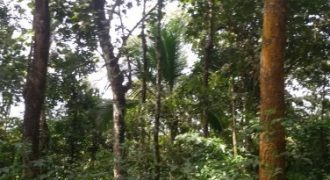 15 Acre Residential Land for sale at Kalpetta, Wayanad