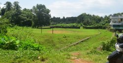 73 cent dry land (Purayidom) for sale at Chovvara Aluva Ernakulam