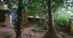 13.5 Cent land with 1100 Sqft Old House for sale at Ayyanthole ,Thrissur.