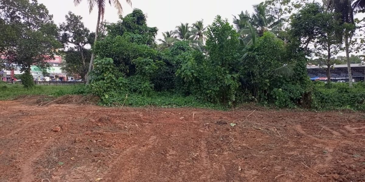 STATE HIGHWAY FACING COMMERCIAL LAND FOR SALE IN THIRUVALLA