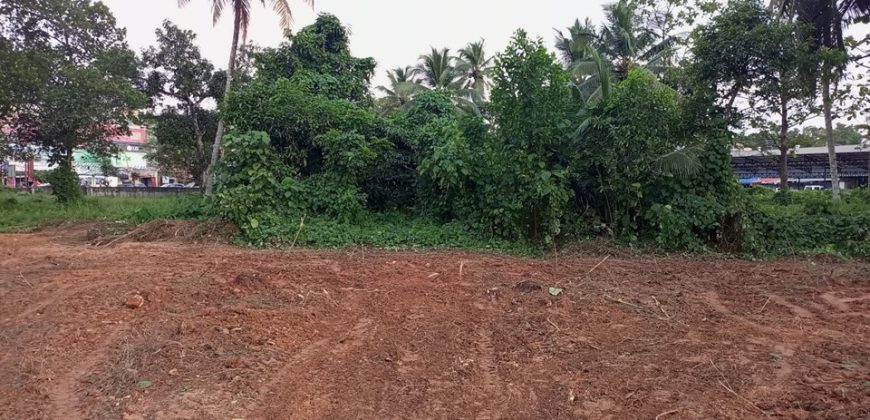 STATE HIGHWAY FACING COMMERCIAL LAND FOR SALE IN THIRUVALLA