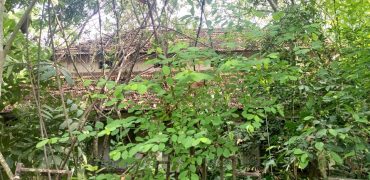 PRIME RESIDENTIAL PROPERTY FOR SALE: THIRUVALLA